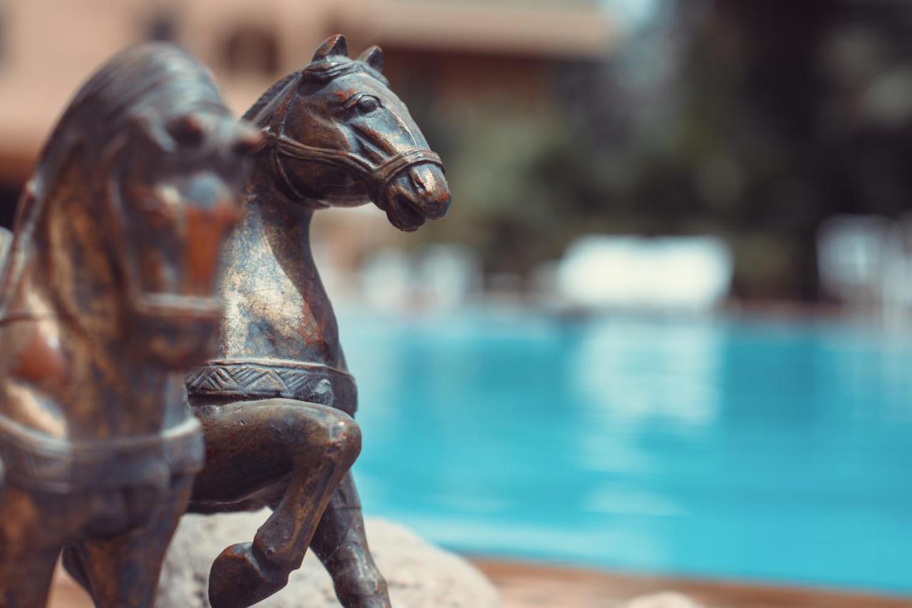 La Vie En Rose - Horses & Dogs House Bed & Breakfast Aït Hamid Eksteriør bilde