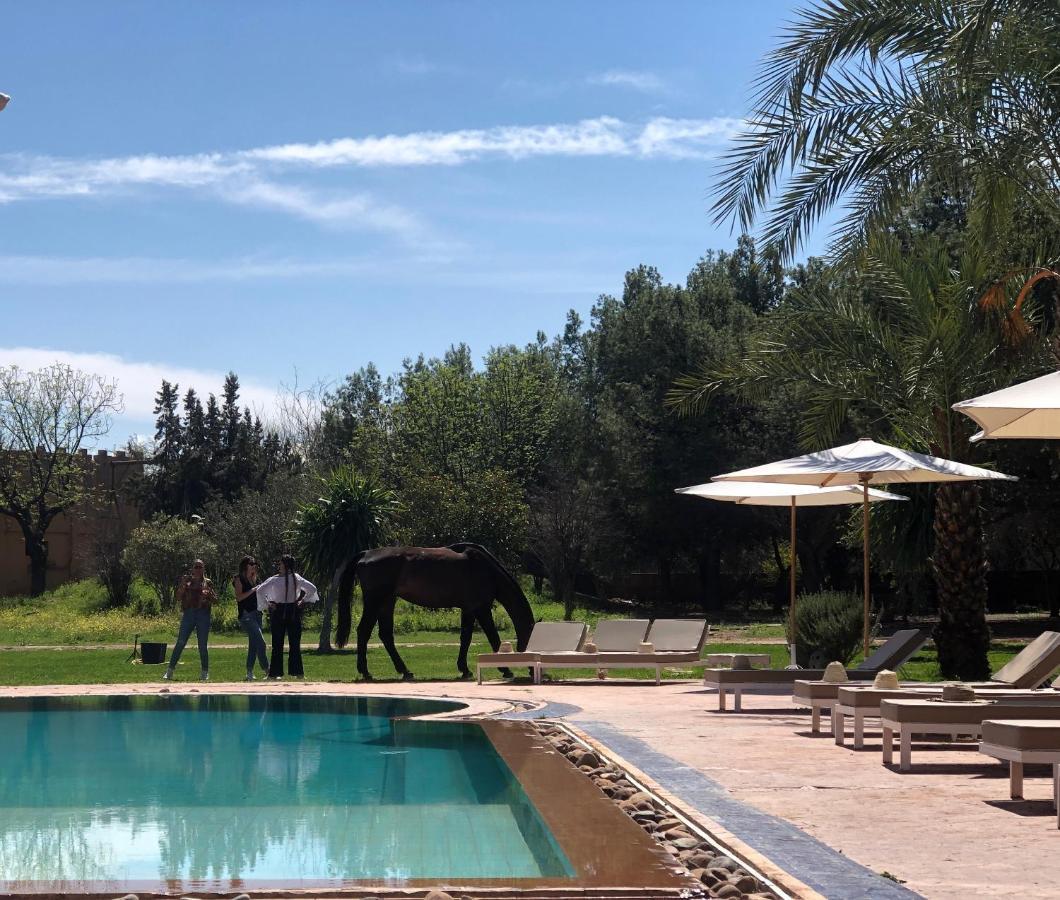 La Vie En Rose - Horses & Dogs House Bed & Breakfast Aït Hamid Eksteriør bilde