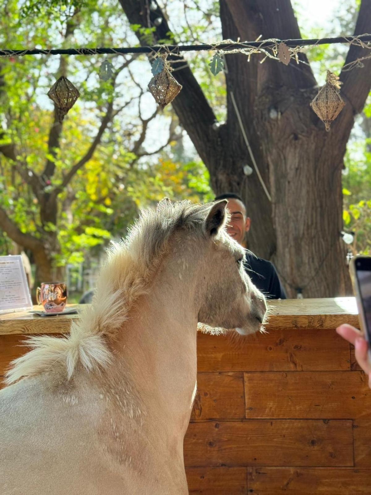 La Vie En Rose - Horses & Dogs House Bed & Breakfast Aït Hamid Eksteriør bilde
